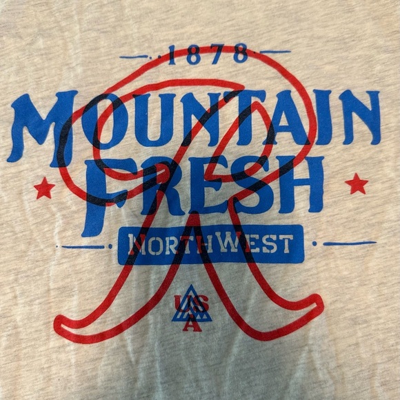 Rainier Beer x The Great PNW Mountain Fresh Graphic Tee - Heather Grey - M - Picture 5 of 6